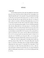 Đào tạo nguồn nhân lực cho ngành y tế tỉnh Bình Định.