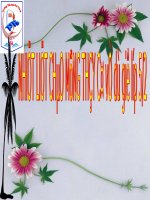 Tuần 33. Sang năm con lên bảy