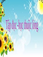 Tuần 31. Bầm ơi