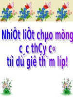 Tuần 18. Ôn tập Cuối Học kì I