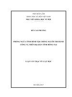 Phòng ngừa tình hình tội chống người thi hành công vụ trên địa bàn tỉnh Đồng Nai (LV thạc sĩ)