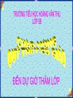 Tuần 4. Tiếng vĩ cầm ở Mỹ Lai