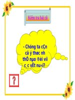 Bài 11. Một số giống gà được nuôi nhiều ở nước ta