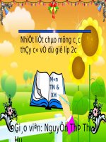 Tuần 35. Ôn tập Cuối Học kì II