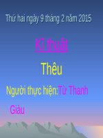 Bài 2. Thêu dấu nhân