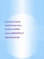 Bài 69. Ôn tập: Môi trường và tài nguyên thiên nhiên