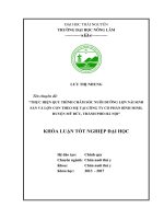 Thực hiện quy trình chăm sóc và nuôi dưỡng lợn nái sinh sản và lợn con theo mẹ tại công ty cổ phần bình minh   huyện mỹ đức   thành phố hà nội 