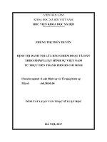 Định tội danh tội lừa đảo chiếm đoạt tài sản theo pháp luật hình sự Việt Nam từ thực tiễn Thành phố Hồ Chí Minh (tt)