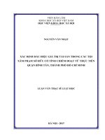 Xác định dấu hiệu giá trị tài sản trong các tội xâm phạm sở hữu có tính chiếm đoạt từ thực tiễn quận Bình Tân, Thành phố Hồ Chí Minh (LV thạc sĩ)