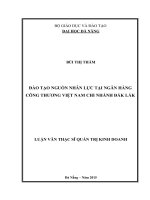 Đào tạo nguồn nhân lực tại ngân hàng Công thương Việt Nam chi nhánh Đắk Lắk
