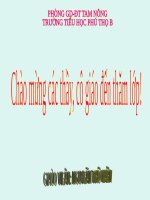 Tuần 29. Nhớ-viết: Đất nước