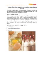 http:  s1.vndoc.com data file 2016 05 23 mat-na-duong-da-5.pdf