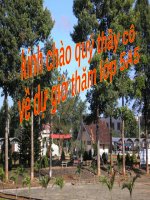 Tuần 17. Kể chuyện đã nghe, đã đọc (về những người  biết sống đẹp biết mang lại niềm vui, hạnh phúc cho người khác)