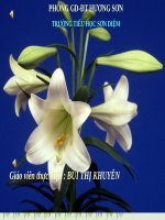 Tuần 34. Nếu trái đất thiếu trẻ con