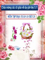 Tuần 13. Người gác rừng tí hon