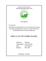 Tình hình mắc bệnh viêm tử cung ở đàn lợn nái ngoại tại trại lợn bình minh, xã phù lưu tế   huyện mỹ đức   thành phố hà nội và phác đồ điều trị