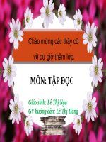Tuần 29. Một vụ đắm tàu