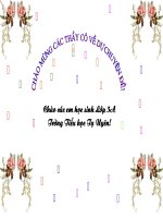 Tuần 2. Nghìn năm văn hiến