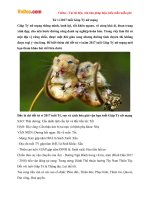 tu vi tuoi giap ty nu mang