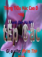 Tuần 29. Một vụ đắm tàu