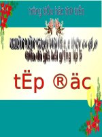 Tuần 30. Thuần phục sư tử