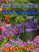 Tuần 12. Kể chuyện đã nghe, đã đọc (có nội dung bảo vệ môi trường)