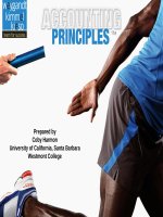 Accounting principles 11e  kieso kimmel app g 