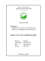 Nghiên cứu sức sản xuất của lợn nái lai F (Đực rừng x nái Meishan) tại Thái Nguyên.