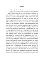 Tội sản xuất, tàng trữ, vận chuyển, sử dụng hoặc mua bán trái phép chất cháy, chất độc theo pháp luật hình sự Việt Nam từ thực tiễn tỉnh Quảng Nam (tt)