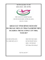 Khảo sát tình hình chăm sóc bà mẹ sau mổ lấy thai tại Bệnh viện Đa khoa trung ương Cần Thơ, năm 2017