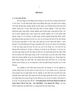 Giải pháp phát triển hoạt động bảo lãnh tại ngân hàng TMCP Sài Gòn - Hà Nội(SHB) - chi nhánh Đà Nẵng