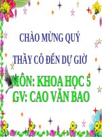 Bài 51. Cơ quan sinh sản của thực vật có hoa