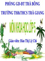 Bài 65. Tác động của con người đến môi trường rừng