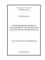 Giải pháp marketing cho dịch vụ ngân hàng điện tử tại ngân hàng thương mại cổ phần Hàng hải Việt Nam- chi nhánh ĐắK LắK