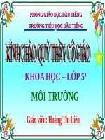 Bài 62. Môi trường