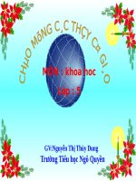 Bài 62. Môi trường