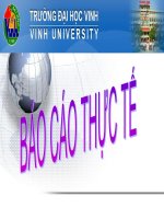 báo cáo thực tế nhà máy đường nghệ an tate  lyle 