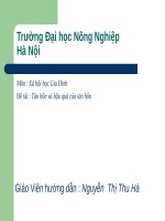 Tảo hôn và hậu quả của tảo hôn 