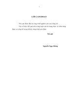 Hoạch định chiến lược kinh doanh sản phẩm nước tăng lực của công ty nước giải khát Thạch Bích Quảng Ngãi