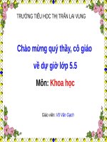 Bài 7. Từ tuổi vị thành niên đến tuổi già