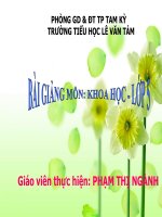 Bài 67. Tác động của con người đến môi trường không khí và nước