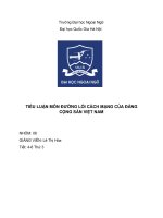 tiểu luận môn đường lối cách mạng của đảng cộng sản việt nam 