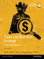 Tax and business strategy a planning approach 5th global edition by scholes wolfson shevlin