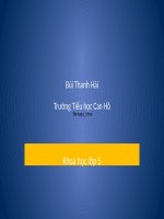 Bài 41. Năng lượng mặt trời