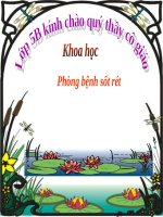 Bài 12. Phòng bệnh sốt rét