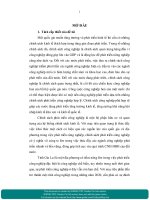 Hoàn thiện chính sách phát triển công nghiệp tại Tỉnh Gia Lai