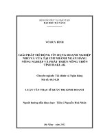 Giải pháp mở rộng tín dụng doanh nghiệp nhỏ và vừa tại ngân hàng nông nghiệp và phát triển nông thôn tỉnh Đăk Lăk