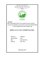 Thực trạng bệnh viêm tử cung trên đàn lợn nái ngoại tại trại Ngô Thị Hồng Gấm  huyện Lương Sơn  tỉnh Hòa Bình và thử nghiệm một số phác đồ điều trị.