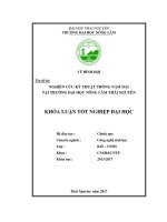 Nghiên cứu kỹ thuật trồng nấm dai tại trường đại học nông lâm thái nguyên  