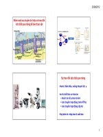 Kiểm soát sự truyền tín hiệu và trao đổi vật chất qua màng tế bào thực vật 